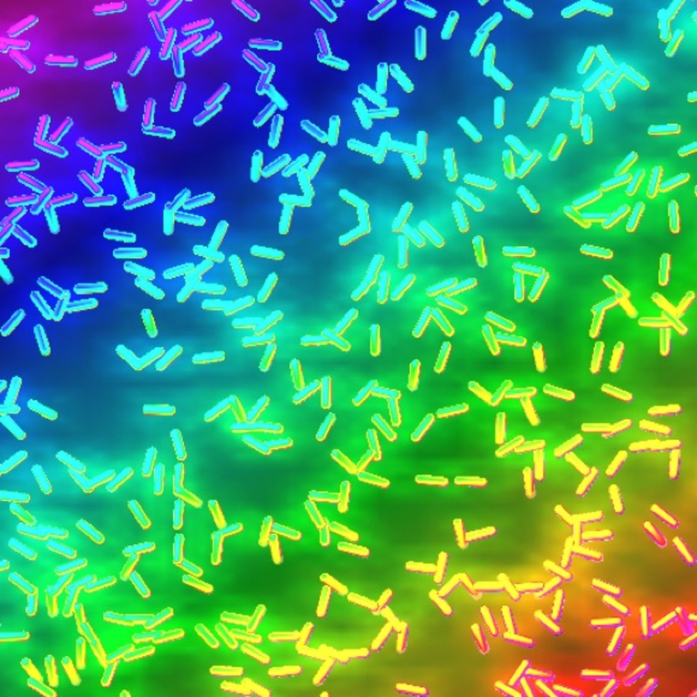 Meet your Posher, Melinda